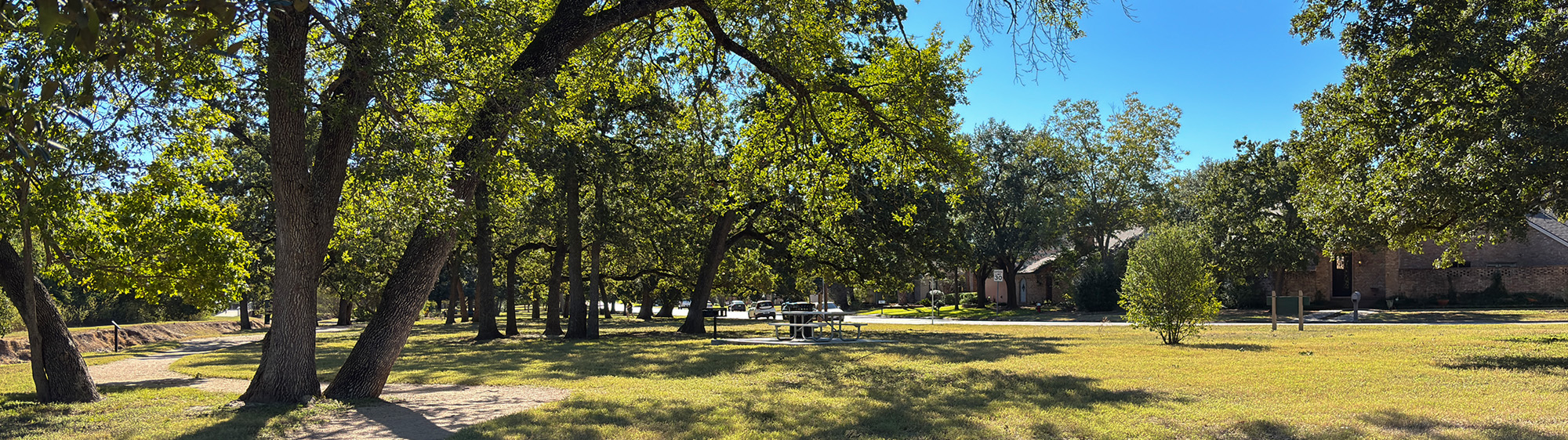 Wide view of trees and grass at Camelot Park.