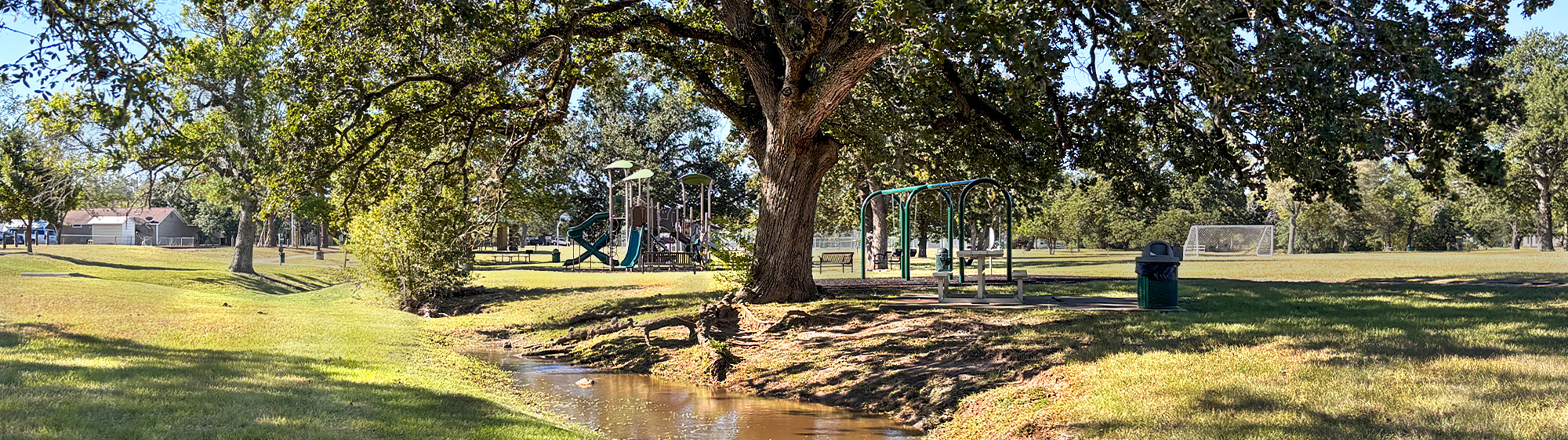 Large tree at Bonham Park, next to playground and swings and a small creek.