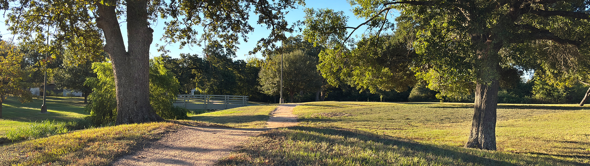 Trail and trees on a sunny day.